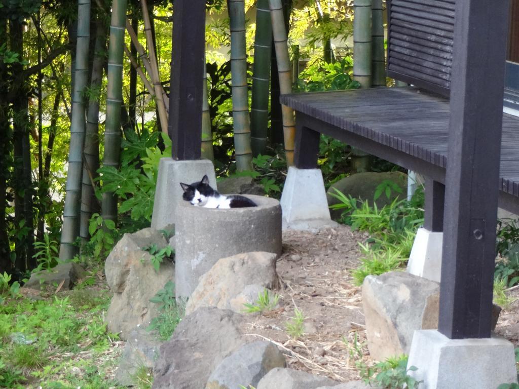 热海 伊兹纳日式旅馆酒店 外观 照片