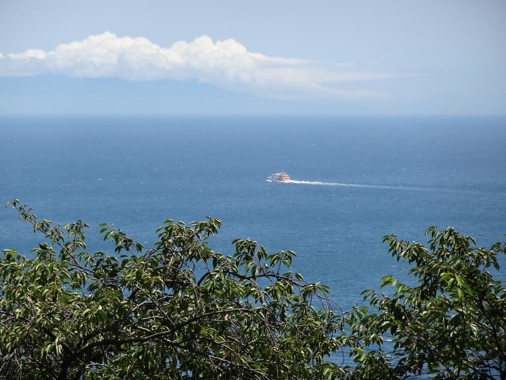热海 伊兹纳日式旅馆酒店 外观 照片